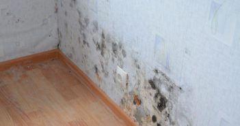 Как избавиться от плесени на стенах в квартире: современные и народные средства Как избавиться от плесени на стенах в квартире