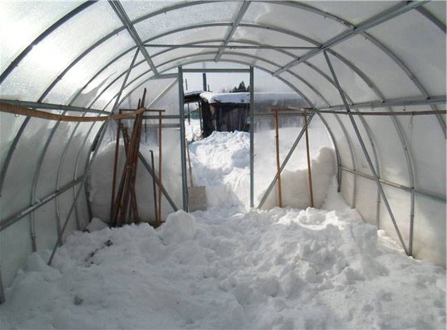 Снежный покров в теплице