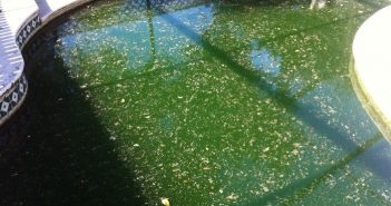 Средства для бассейна, чтобы не цвела вода Средства для бассейна, чтобы не цвела вода